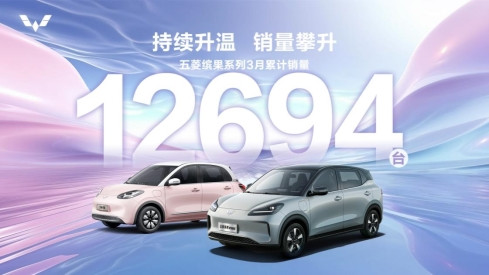 五菱繽果系列3月銷量12694臺