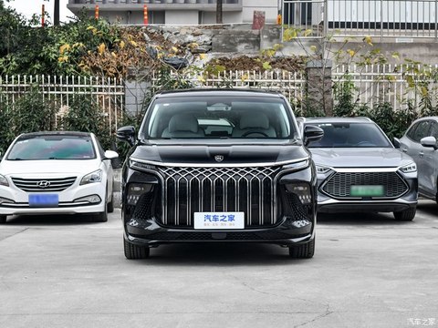 东风风行 星海V9 2023款 PHEV 200km 尊享型