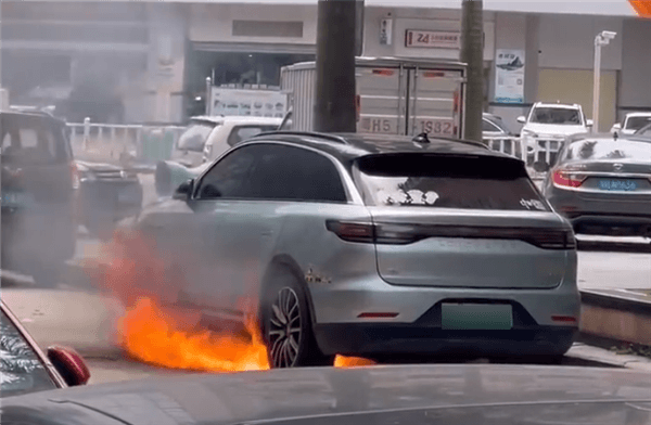一零跑汽車路邊自燃：底盤突然爆出明火