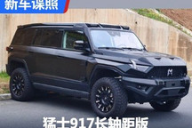 车长加长200mm 猛士917L长轴距版申报图