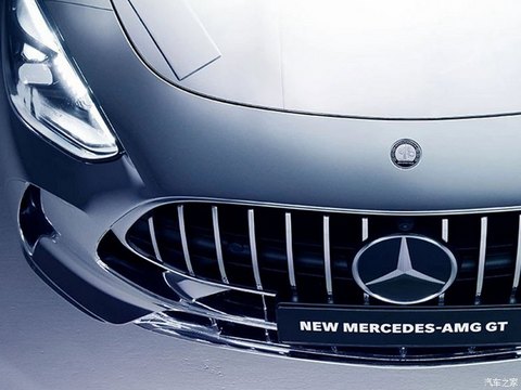 梅赛德斯-AMG AMG GT 2024款  AMG GT x sacai