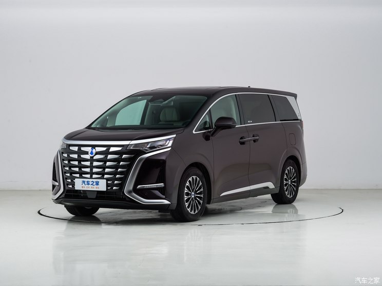 騰勢(shì)汽車 騰勢(shì)D9 2024款 PIONEER 四座創(chuàng)領(lǐng)版