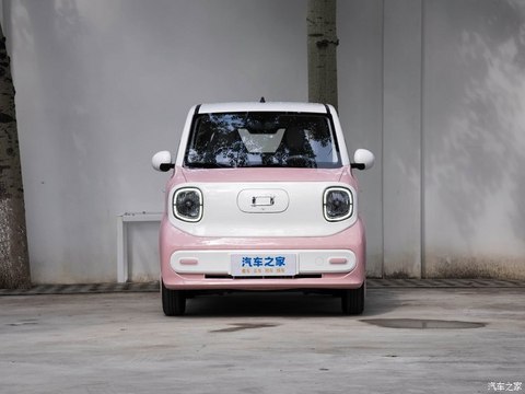 一汽奔腾 奔腾小马 2023款 公主版试装车