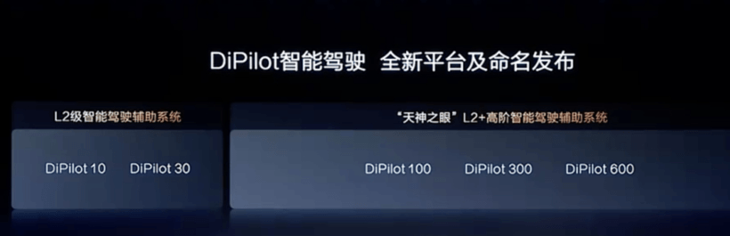 專打 Model Y 的車，比亞迪造了 3 輛