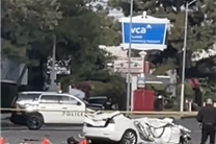 美国一特斯拉深夜撞墙致3死3伤：撞车时速高达160km/h