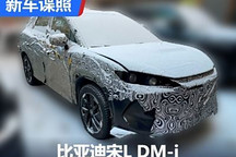 搭载插混动力 疑似比亚迪宋L DM-i谍照