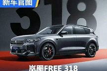5月30日开启预售 岚图FREE 318官图发布