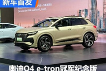 2024粤港澳车展:奥迪Q4 e-tron纪念版