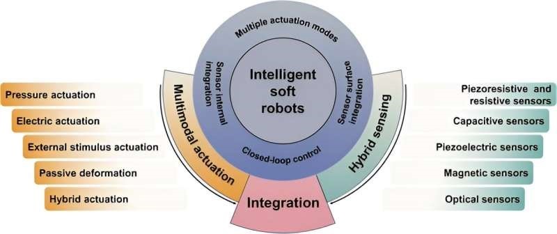中国东南大学研究人员为更智能的软体机器人集成驱动和传感技术