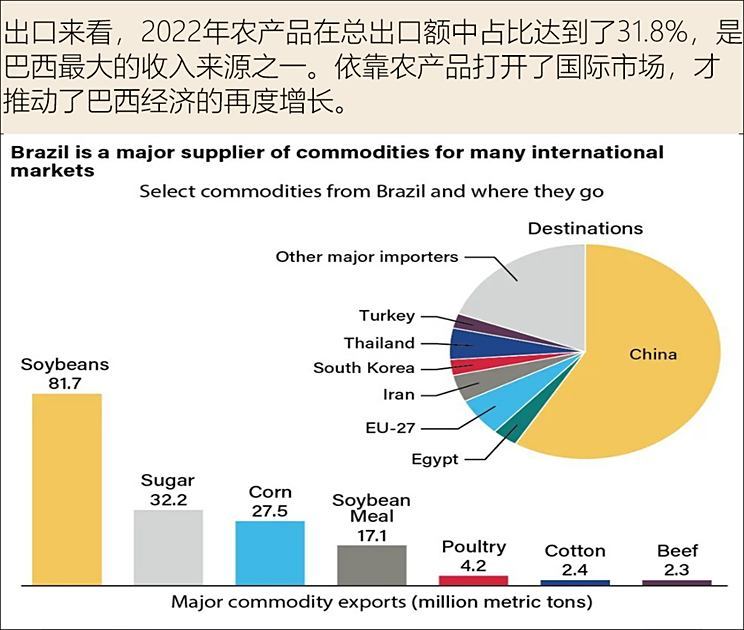 阿根廷人口构成图片