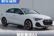 新造型样式 新款奥迪A3申报图曝光!