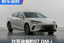 动力有调整 比亚迪海豹07 DM-i申报图