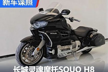 154马力H8发动机 长城灵魂摩托申报图
