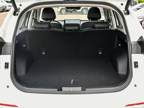 长城汽车 哈弗H6 2024款 2.0T 两驱Max