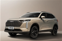 博主1元抽中新一代哈弗H6 3年使用权 网友：租赁价值超12万