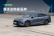 比亚迪海豹DM-i成都车展预售,17.68万起