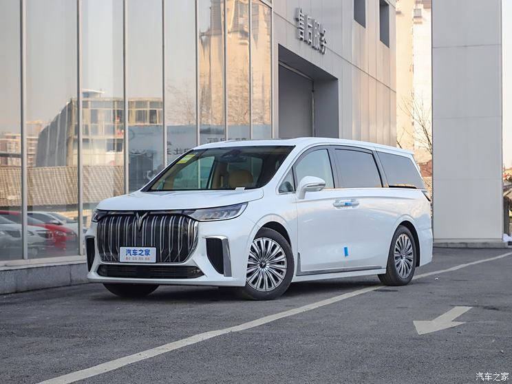 嵐圖汽車 嵐圖夢想家 2024款 EV 超長續(xù)航卓越版