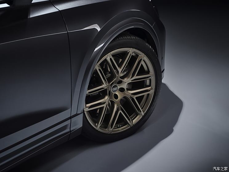 Audi Sport 奧迪RS Q8 2024款 RS Q8 歐洲版