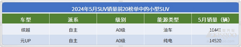 5月SUV销量TOP20：Model Y重夺冠军，问界M9月销持续破万
