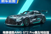 梅赛德斯AMG GT2 Pro赛车特别版官图