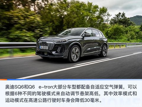 奥迪(进口) 奥迪SQ6 e-tron 2024款 基本型