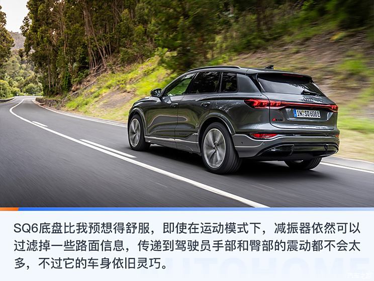 奧迪(進口) 奧迪SQ6 e-tron 2024款 基本型