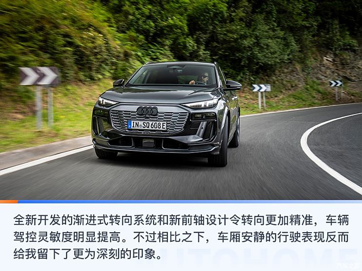 奧迪(進口) 奧迪SQ6 e-tron 2024款 基本型