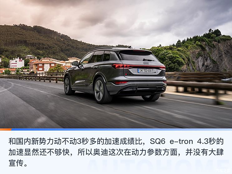 奥迪(进口) 奥迪SQ6 e-tron 2024款 基本型