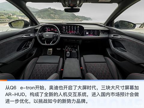 奥迪(进口) 奥迪SQ6 e-tron 2024款 基本型