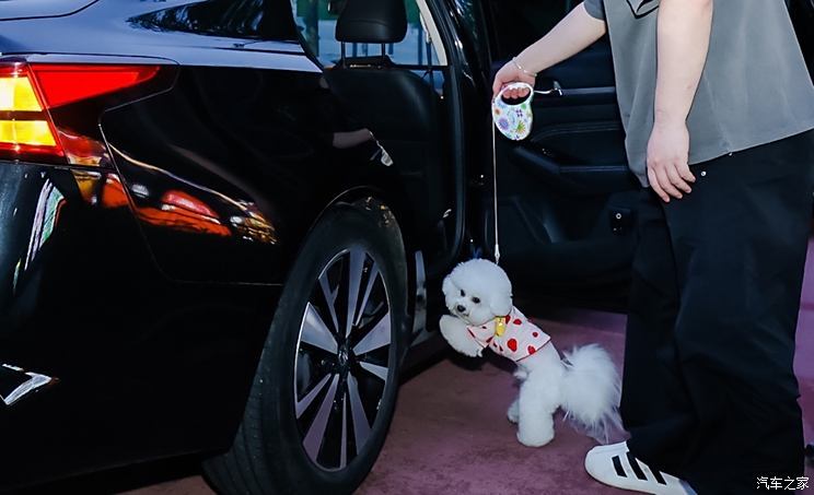 汽車之家