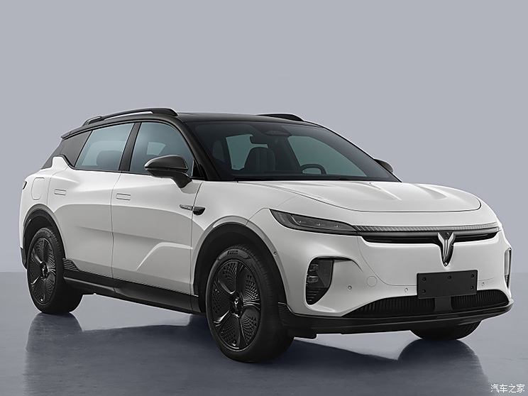 岚图汽车 岚图知音 2024款 单电机高功率 磷酸铁锂 岚图汽车 岚图知音 2024款 单电机高功率 磷酸铁锂