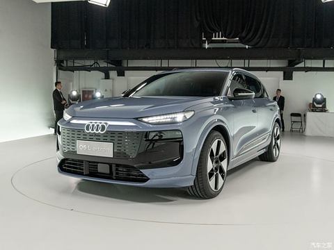 一汽奥迪 奥迪Q6L e-tron 2024款 基本型