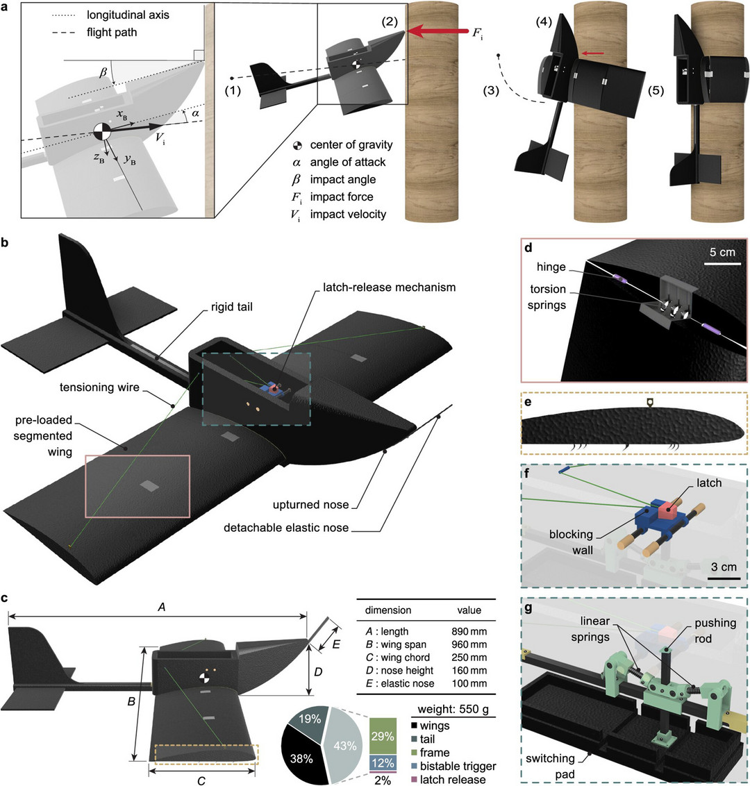 受蝙蝠啟發 EPFL為無人機提供包裹式抓握機翼以降落在電線桿和樹枝上