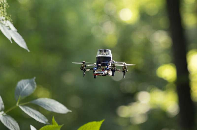 受昆蟲啟發 研究人員為微型機器人創建新自主導航策略
