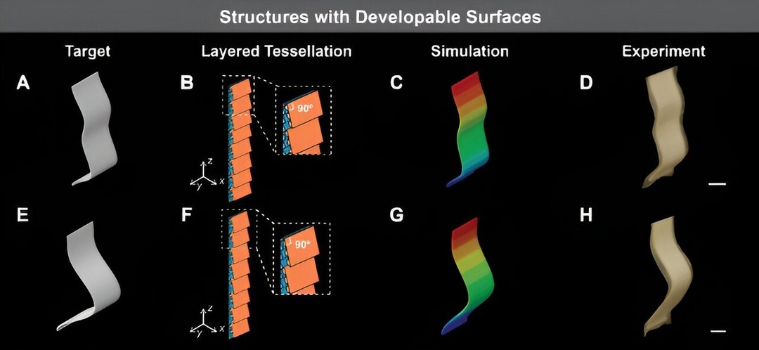 南洋理工大学科学家开发出3D打印活性织物 可用于医疗器械和软体机器人