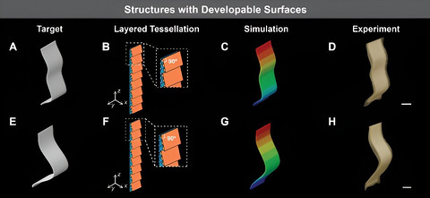 南洋理工大学科学家开发出3D打印活性织物 可用于医疗器械和软体机器人