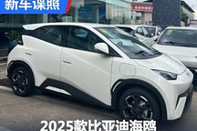 有望8月上市 2025款比亞迪海鷗實車