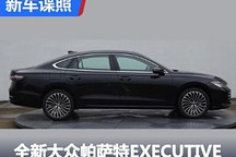旗艦？全新大眾帕薩特EXECUTIVE申報圖