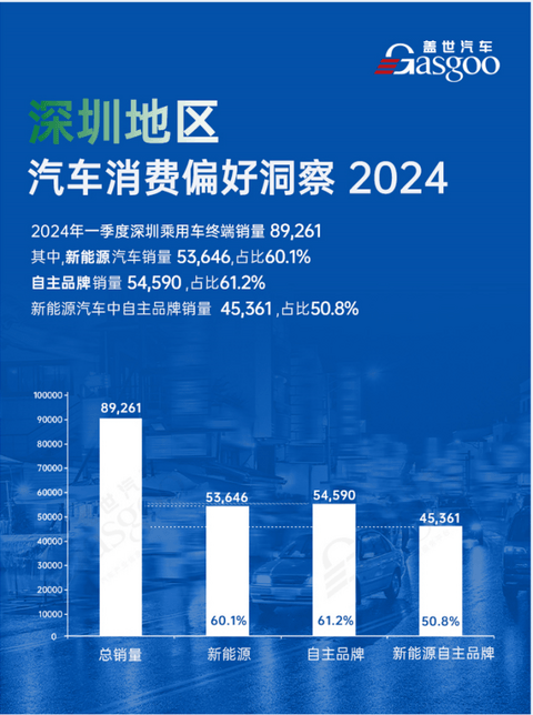 中国汽车产业格局发展中研究(深圳篇)