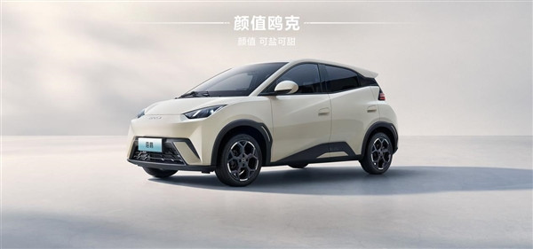 通勤神車再次更新！比亞迪2025款海鷗正式上市：售6.98萬元起