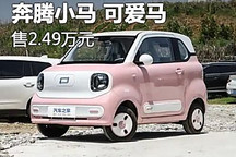 售2.49萬元 一汽奔騰小馬新車型上市
