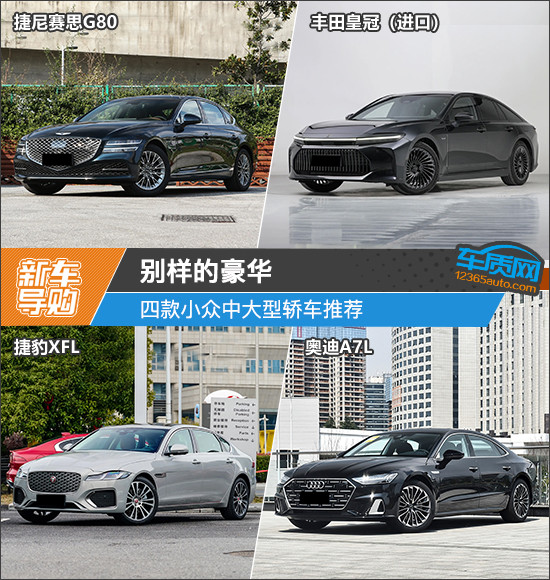 別樣的豪華 四款小眾中大型轎車推薦