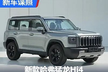 直瀑式格柵 新款哈弗猛龍Hi4申報圖曝光