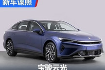 兩種動力/中大型轎車 寶駿云光申報圖
