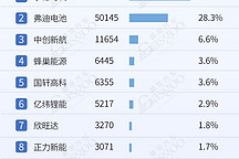 2024年1-6月電氣化供應(yīng)商裝機量排行榜：弗迪持續(xù)領(lǐng)跑多領(lǐng)域，車企自制PACK份額超50%