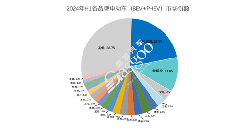 6月全球电动车销量榜：小米SU7 IN，五菱“神车”OUT