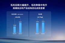 上半年营收首破千亿、毛利率超15%,吉利汽车:已经看到了重现辉煌的曙光