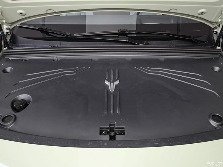 嵐圖汽車 嵐圖知音 2024款 單電機高功率 三元鋰