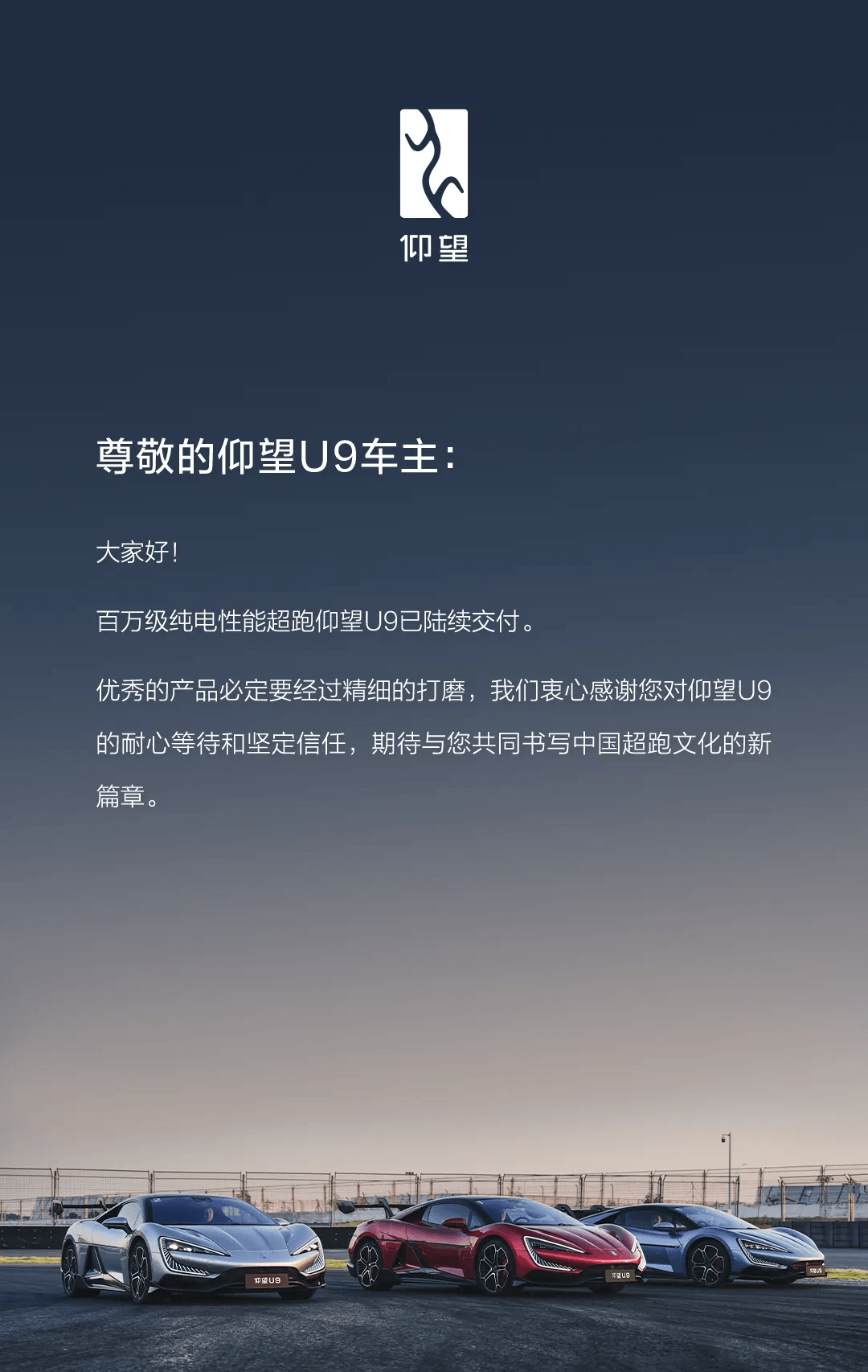 比亞迪仰望U9開啟交付