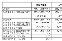 賺了66.3億元！上汽集團發布2024半年報